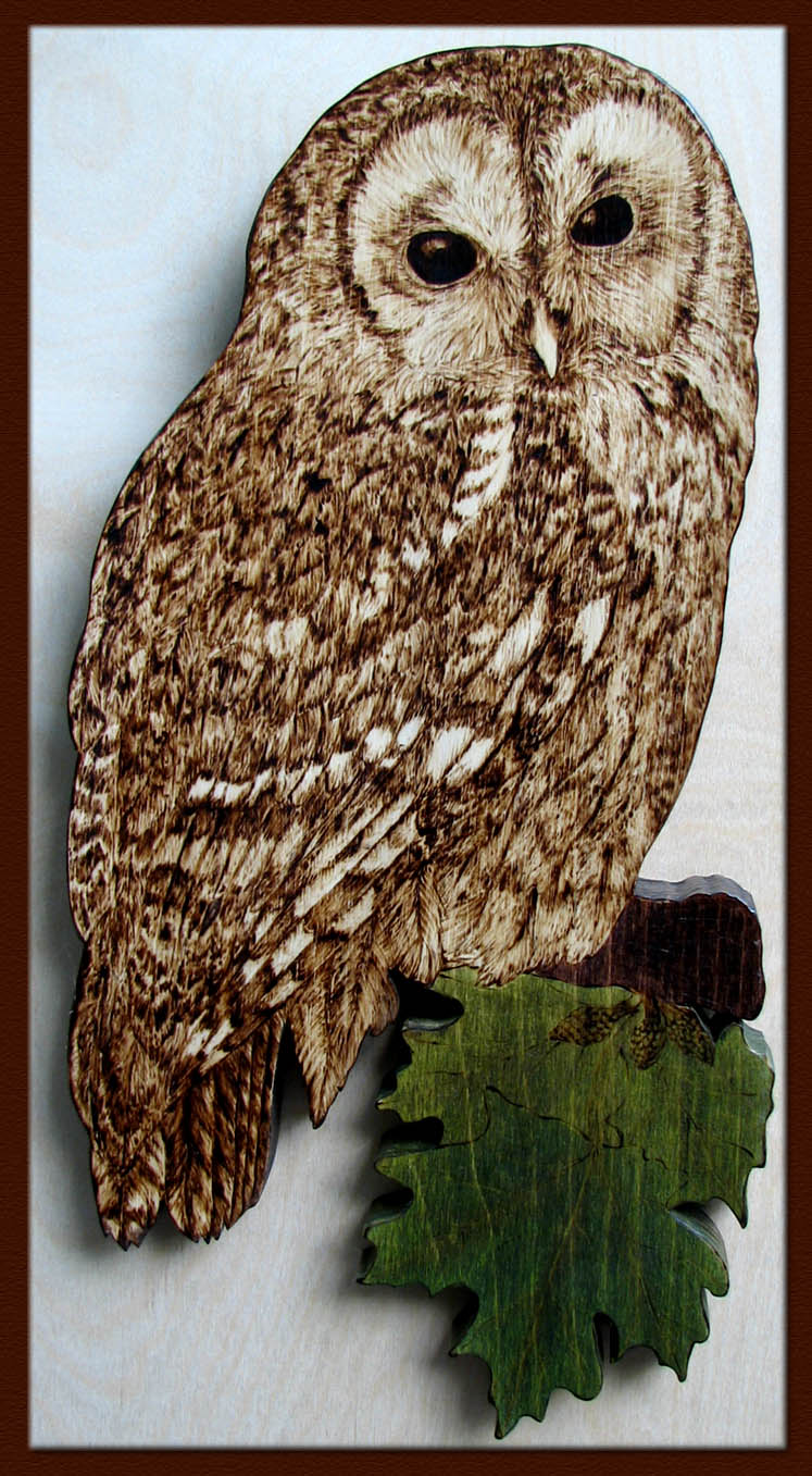 strix aluco tawny owl pyrography tanja sova